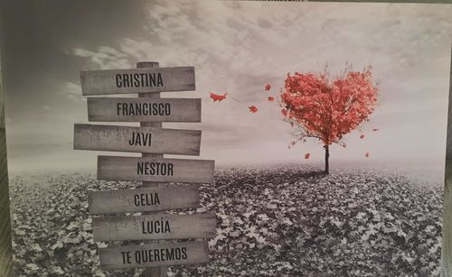 Customer photo review of Lienzo Árbol Corazón con Nombres Personalizados