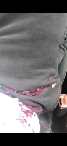 Customer photo review of Spring Loaded Dick Bomb!