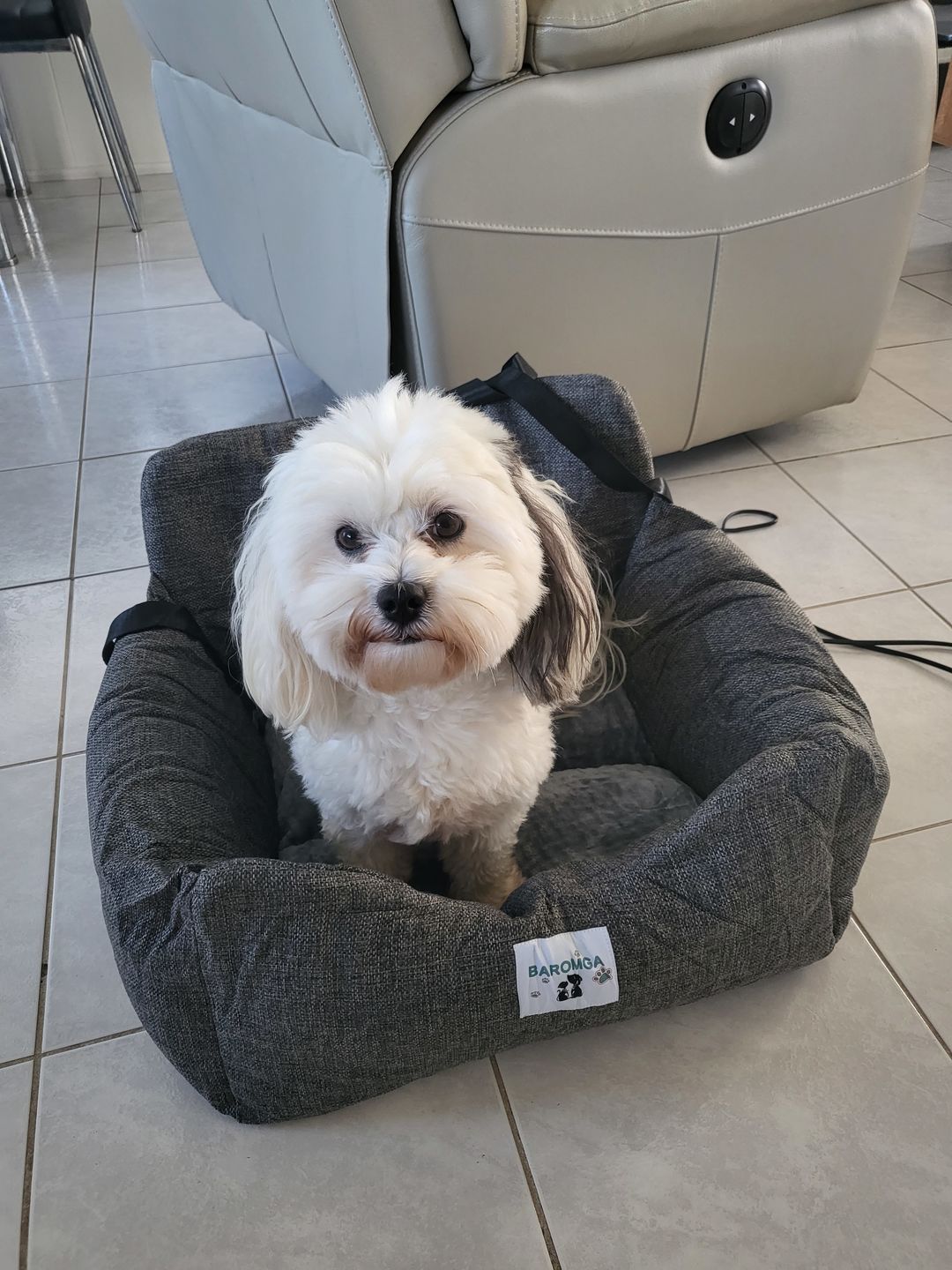Customer photo review of Dog Car Calming Bed