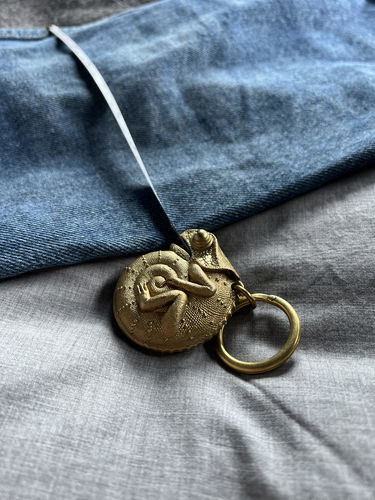 Customer photo review of Brass Chameleon Tape Measure