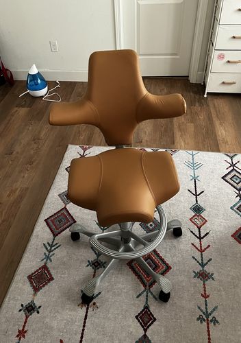 Customer photo review of Capisco