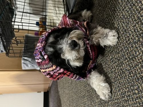 Customer photo review of Playa Poncho