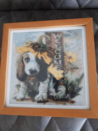 Customer photo review of Hond Met Zonnebloem