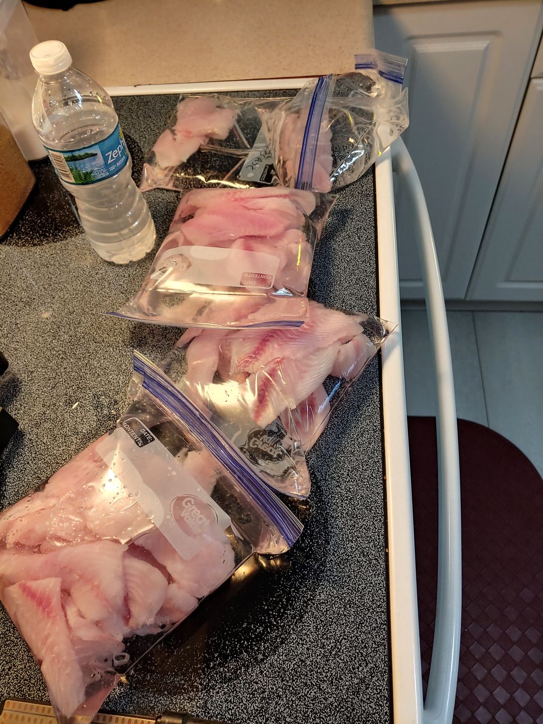 Customer photo review of BR2 Bait Rig - 2 (size 22) hooks with white feather & fish skin