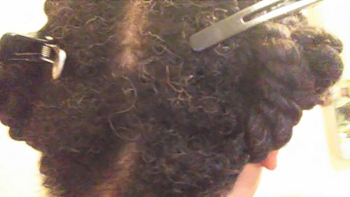 Customer photo review of NEW! Recipes for Hair Growth Ebook