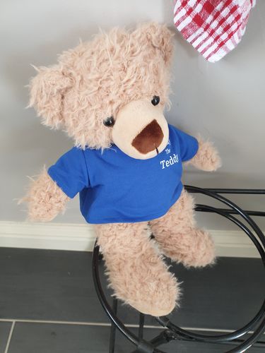 Customer photo review of Eddy The Teddy Bear