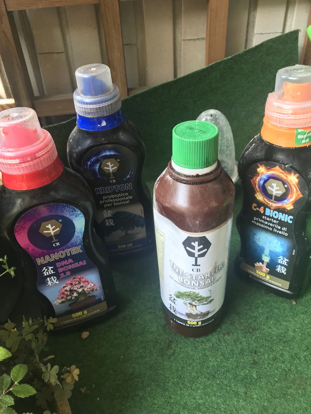 Customer photo review of NANOTEK CB® (DNA BONSAI 2.0)