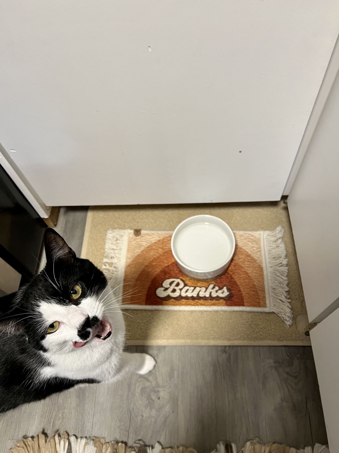 Customer photo review of Personalized Pet Placemat- Maude