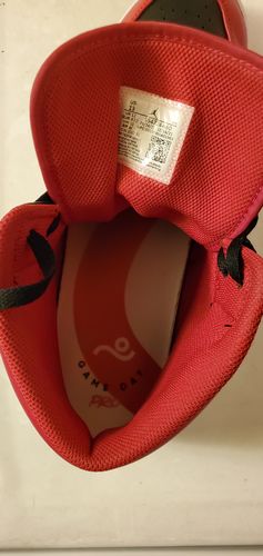 Customer photo review of Game Day Pro Insoles
