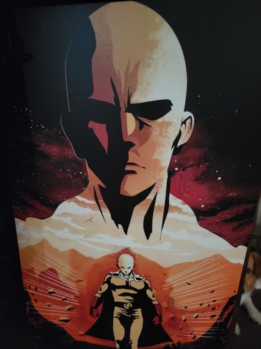 Customer photo review of One Punch, One Kill - PS5 Console Skin