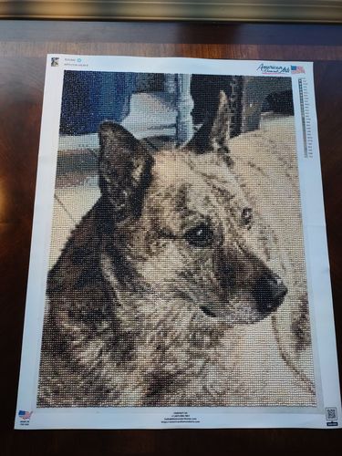 Customer photo review of Custom Diamond Painting Kits for Adults DIY 5D - Photo Diamond Art Shipped from USA