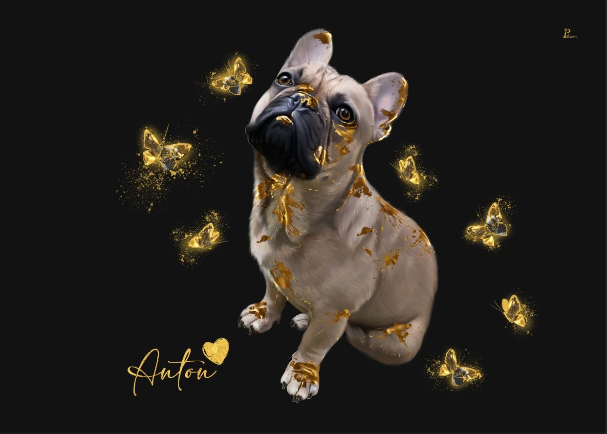 Customer photo review of Gold Stil