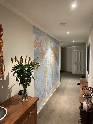 Customer photo review of World Map Mural - 6 Colours