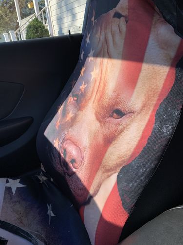 Customer photo review of Coolest Pitbull Dog Car Seat Covers Custom American Flag Car Accessories