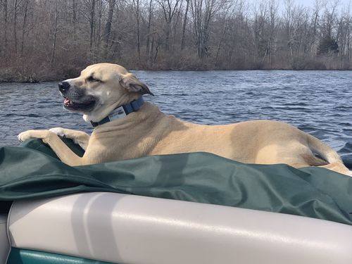 Customer photo review of Great Lakes Blue Collar