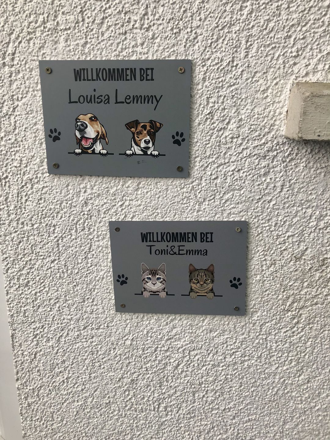 Customer photo review of Spähende Haustiere - Individuelles Türschild