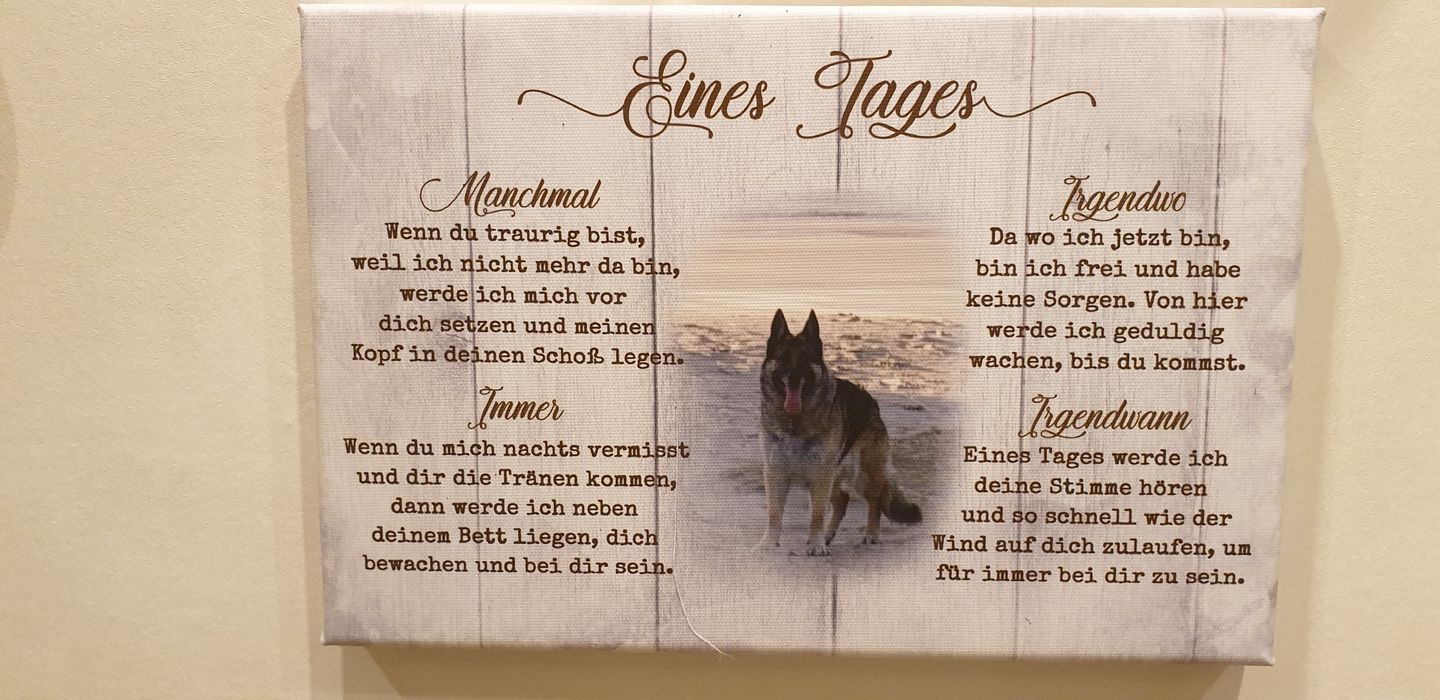 Customer photo review of Eines Tages - Individuelle Leinwand