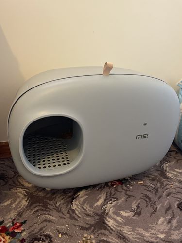 Customer photo review of Makesure Modern Cat Litter Box