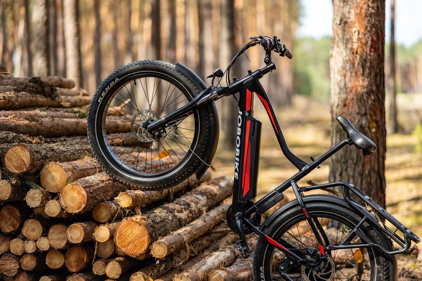 Customer photo review of JOBOBIKE Robin - Sie werden benachrichtigt, wenn es im Mai eintrifft.