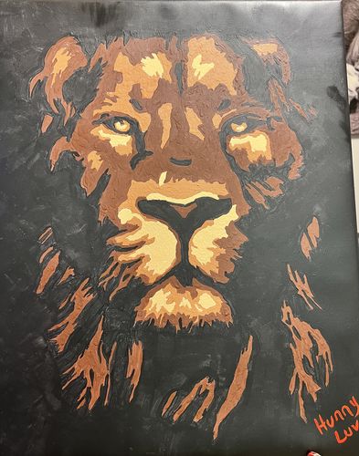 Customer photo review of Lion