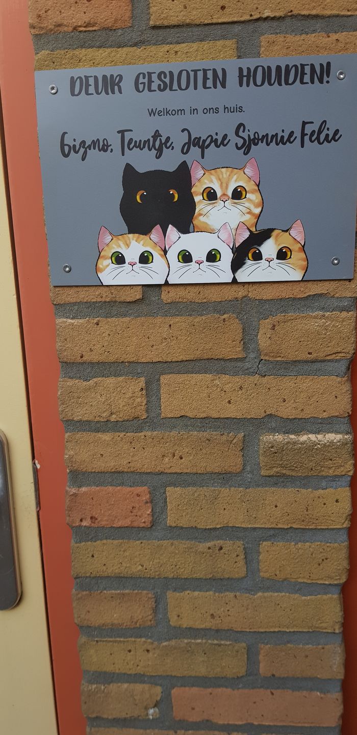Customer photo review of Nieuwsgierige katten - Gepersonaliseerde deurbord