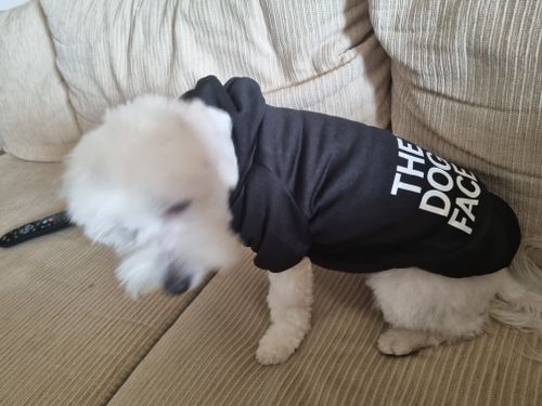 Customer photo review of The Dog Face Hoodies