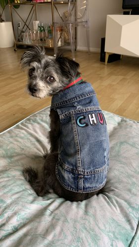 Customer photo review of Denim Vest