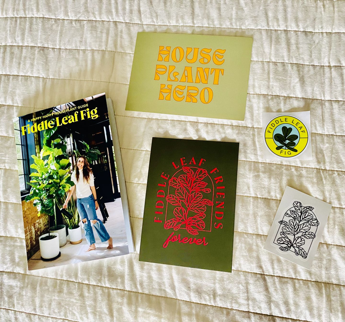 Customer photo review of Fiddle Leaf Fig Guide