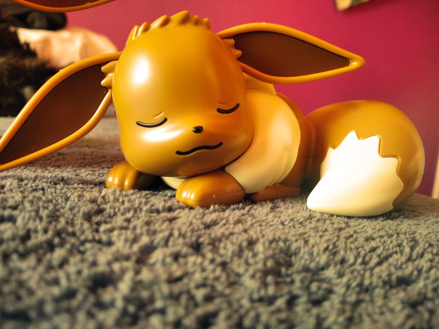 Customer photo review of Eevee Sleeping Pose - Pokemon Model Kit