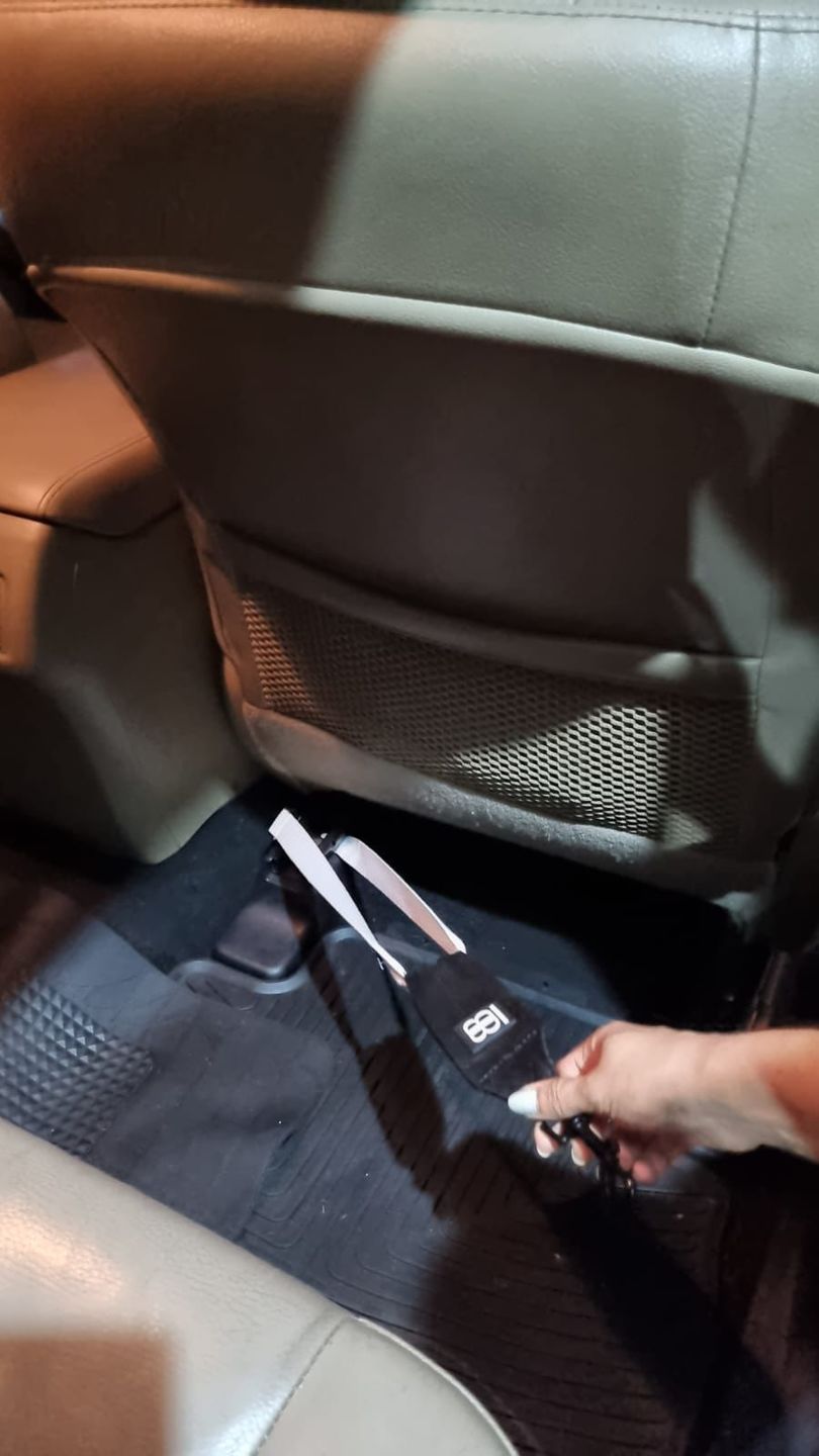 Customer photo review of Harness Seat Belt Safety Strap
