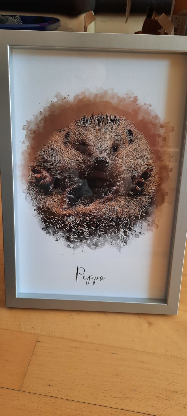 Customer photo review of Portrait deines Tieres im Wasserfarben-Stil
