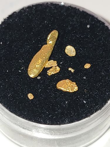 Customer photo review of *TROGO* Flawless '$5,000 GOLD NUGGET DISCOVERY' - Gold Panning Paydirt