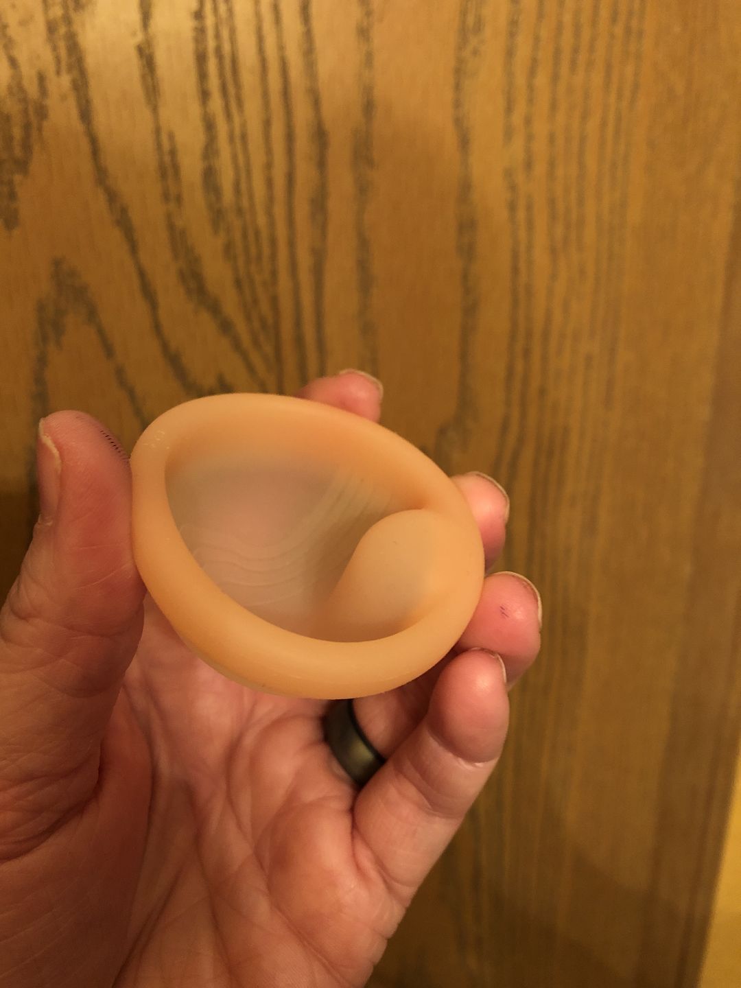 Customer photo review of Saalt Disc