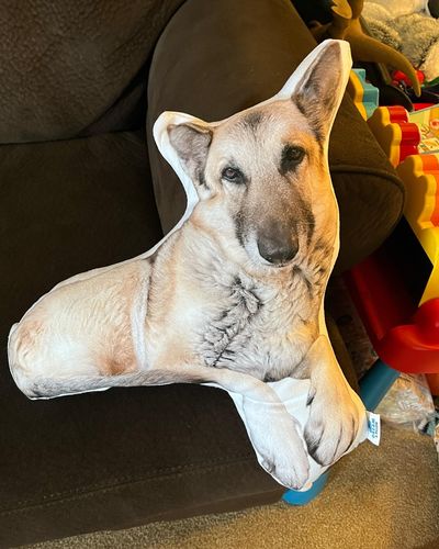 Customer photo review of Create A Custom Dog Pillow