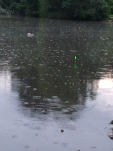 Customer photo review of 2g Smart Fishing Float