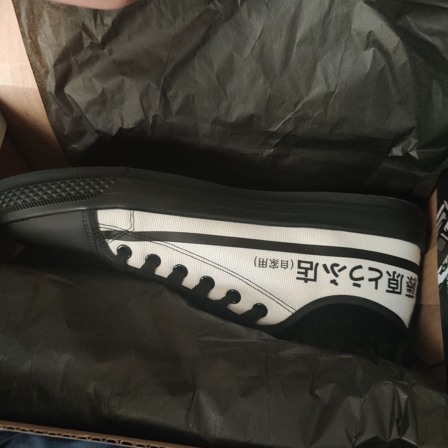 Customer photo review of HTXJPN Fuji2 Low Top Sneakers
