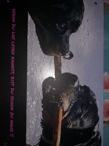 Customer photo review of Personalisierbares -Foto- Schild "Meins"