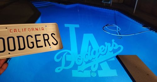 Customer photo review of 2020 CALIFORNIA DMV.CA.GOV LICENSE PLATE 6"x12" (156.5mm x 305mm)