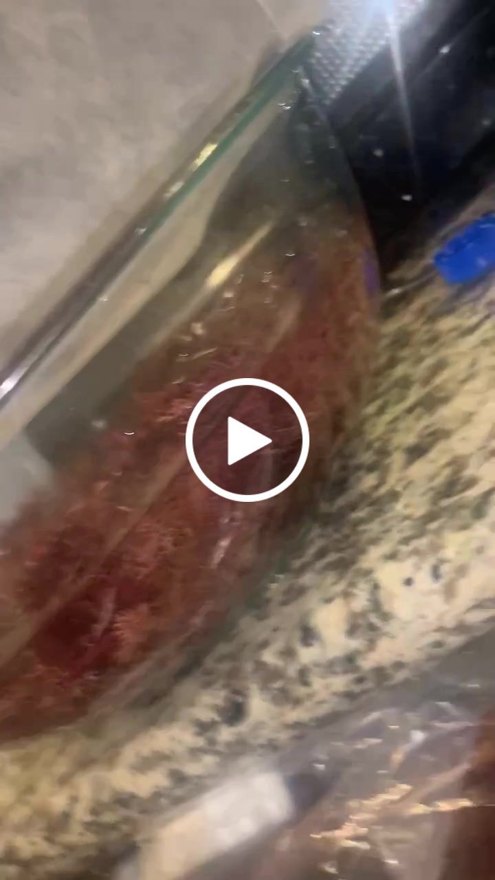 Customer video review of Jamaican Purple Sea Moss (Raw, Wildcrafted)