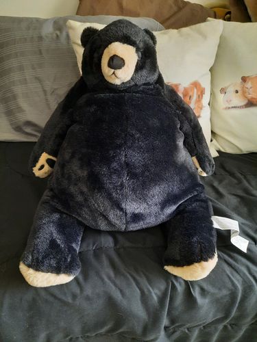 Customer photo review of SKOGGY BEAR