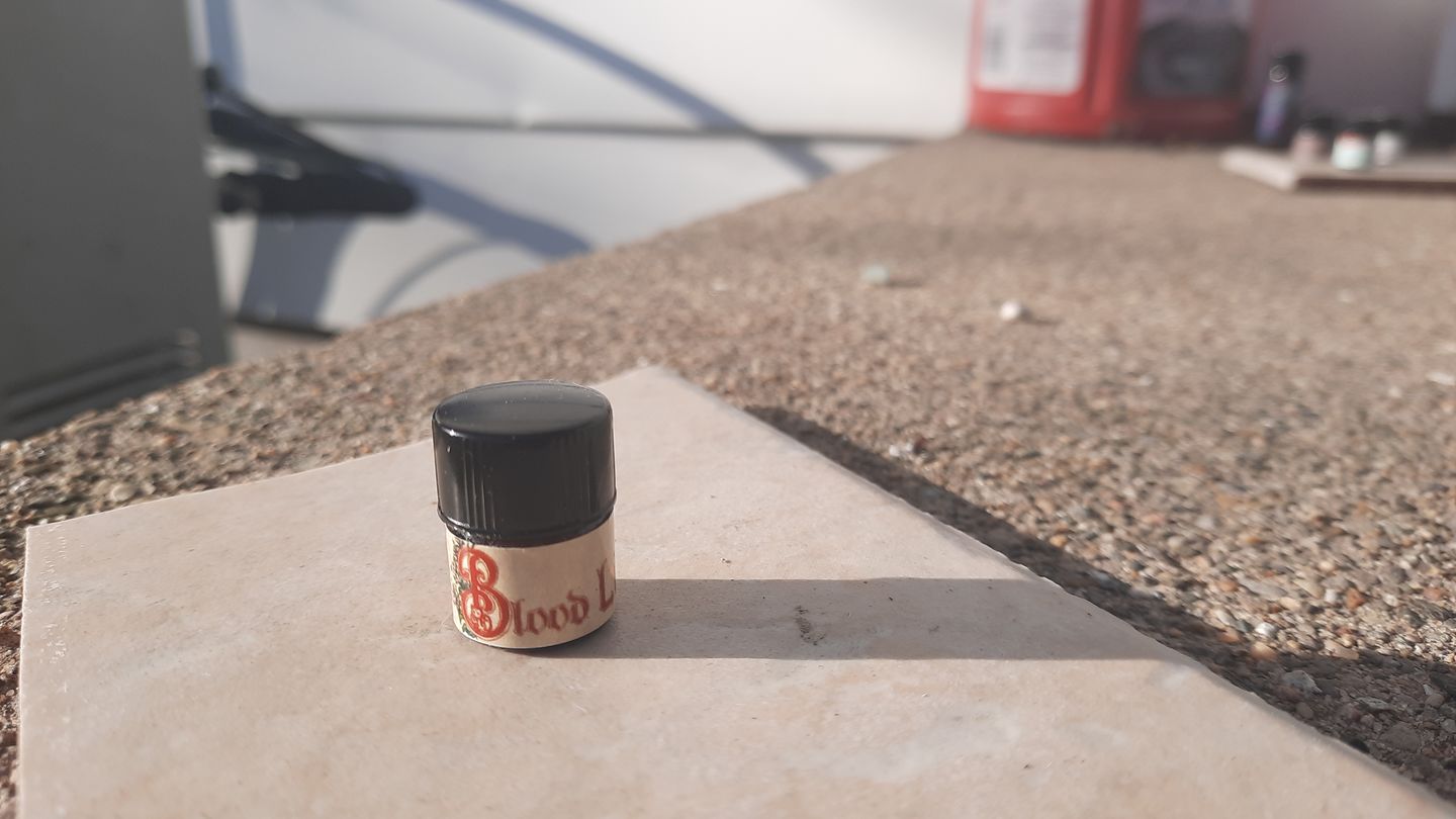 Customer photo review of Bloodline