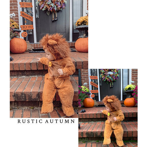 Customer photo review of The Rustic Autumn Preset Collection