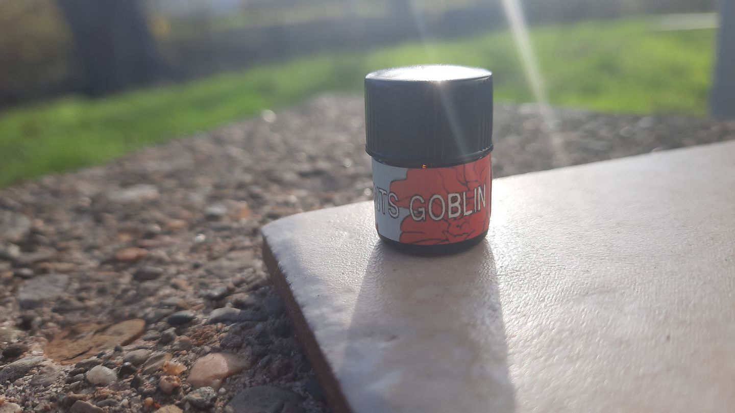 Customer photo review of Sweatpants Goblin