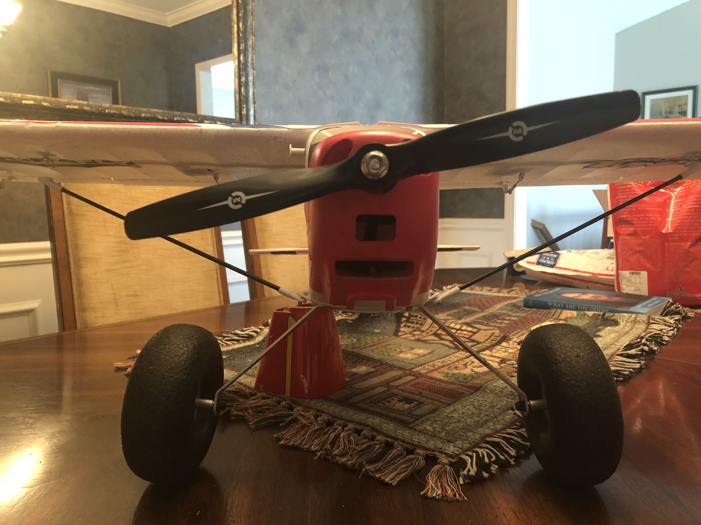 Customer photo review of GF Series - 10x6 Propeller