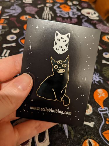 Customer photo review of Third Eye Black Cat, Enamel Pin
