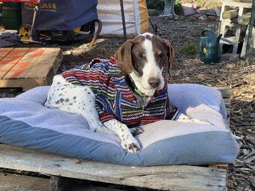 Customer photo review of Playa Poncho