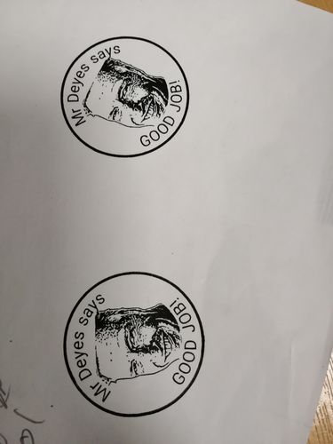 Customer photo review of Self-Inking Face Stamp