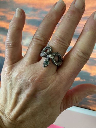 Customer photo review of Silver Snake Ring