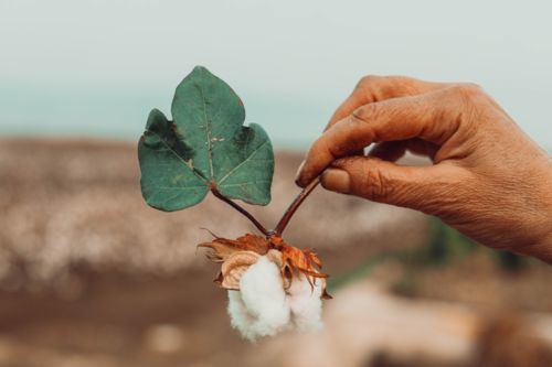 Customer photo review of The Rustic Autumn Preset Collection