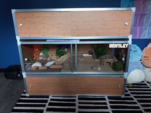 Customer photo review of 48"x24"x16" Meridian PVC Panel Reptile Enclosure